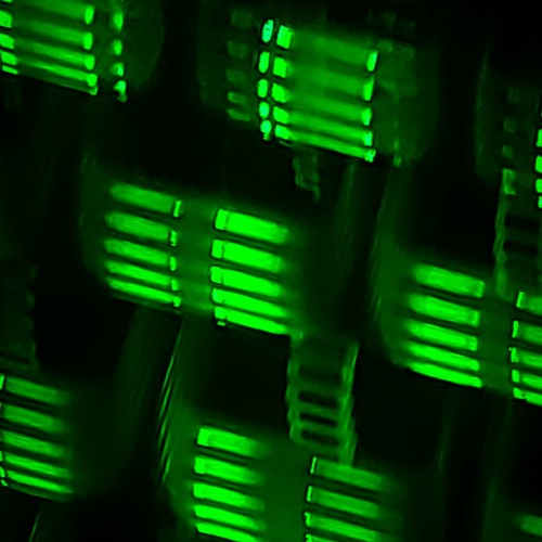 Second Choice (original mix) (DEMO)