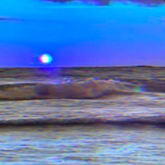 これを見ましたか.wav