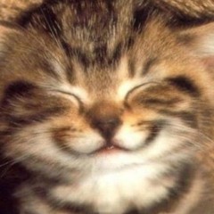 ITUNES.mp3 prod*5ylvr