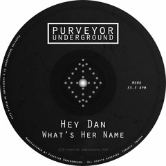 Hey Dan - What's Her Name (Original Mix)