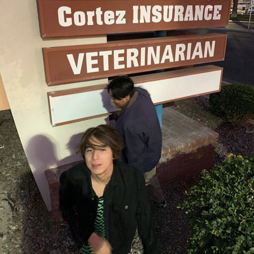 Baby Please (ALL PLATFORMS)