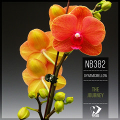 DynamicMellow - The Journey (Original Mix)