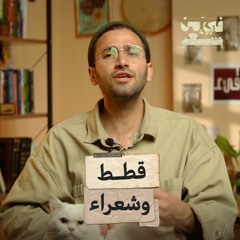برنامج فيء من شعر