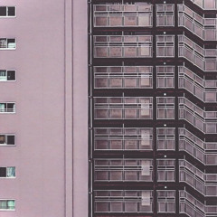 HIMO & HEAZEC - 010TORAH B2B 1