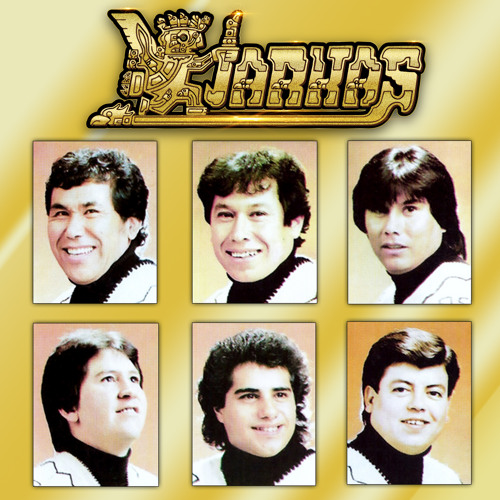 Stream El Árbol de Mi Destino by Los Kjarkas | Listen online