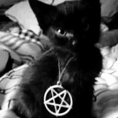 Playboi Carti - Tryna Get Down