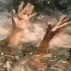 v7v7v7 : jesus fucking christ*