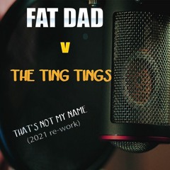 Ting Tings - Thats Not My Name (Fat Dad Remix)