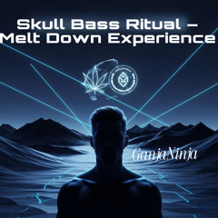 Ritual I: Bass Meltdown (Psycore Injection)