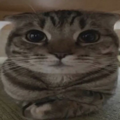 загадочныймужчина11