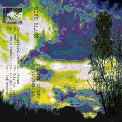 A3 - . Rise Black - Wolfs Forest