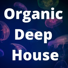 Organic Deep House Mix - Back to Boz's Collection - Part 3