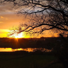 Villajoyosa awakens to the happy pigeon