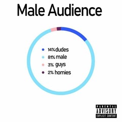Male Audience (Prod. Justxrolo & Mathiastyner)