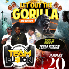 GORILLA BOSS PARTY (TEAM FUSION LIVE)