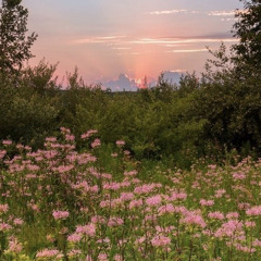 Christina Aguilera - BEAUTIFUL (Cover)