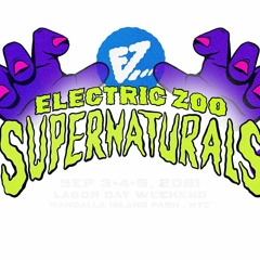 Festival Preview: Electric Zoo 2021 (House Mix)