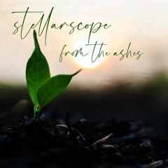 Stellarscope-All The Lies
