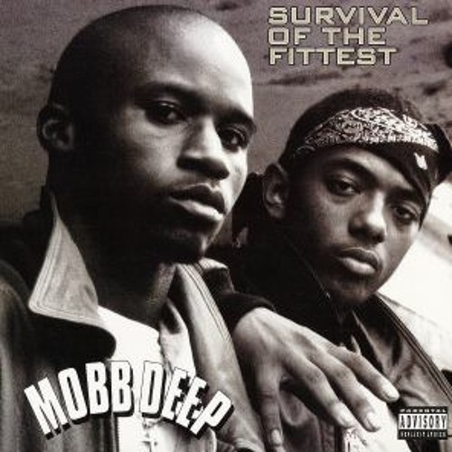 Stream Mobb Deep - Survival Of The Fittest (Remix) by DJ Raizi | Listen ...