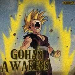 GOHAN AWAKENS