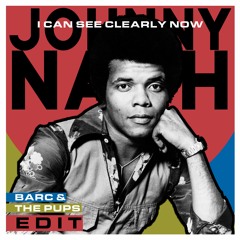 I Can See Clearly Now (BARC & The Pups Remix)
