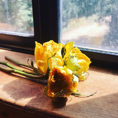 It’s gonna be okay