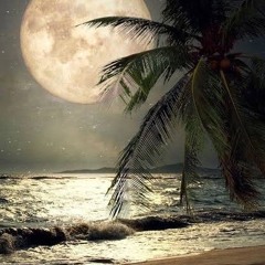 UN☆$☆NK☆🌿🌱