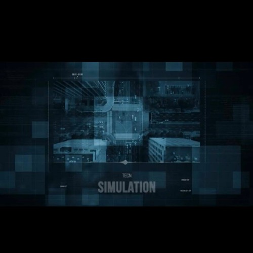 Simulation