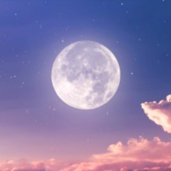 Dreamy Night