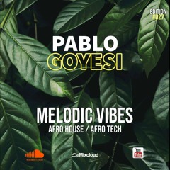 Melodic Vibes 027 (Afro House And Afro Tech)