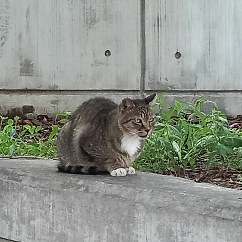 설레는 생각하면서 피아노를 쳐봤음