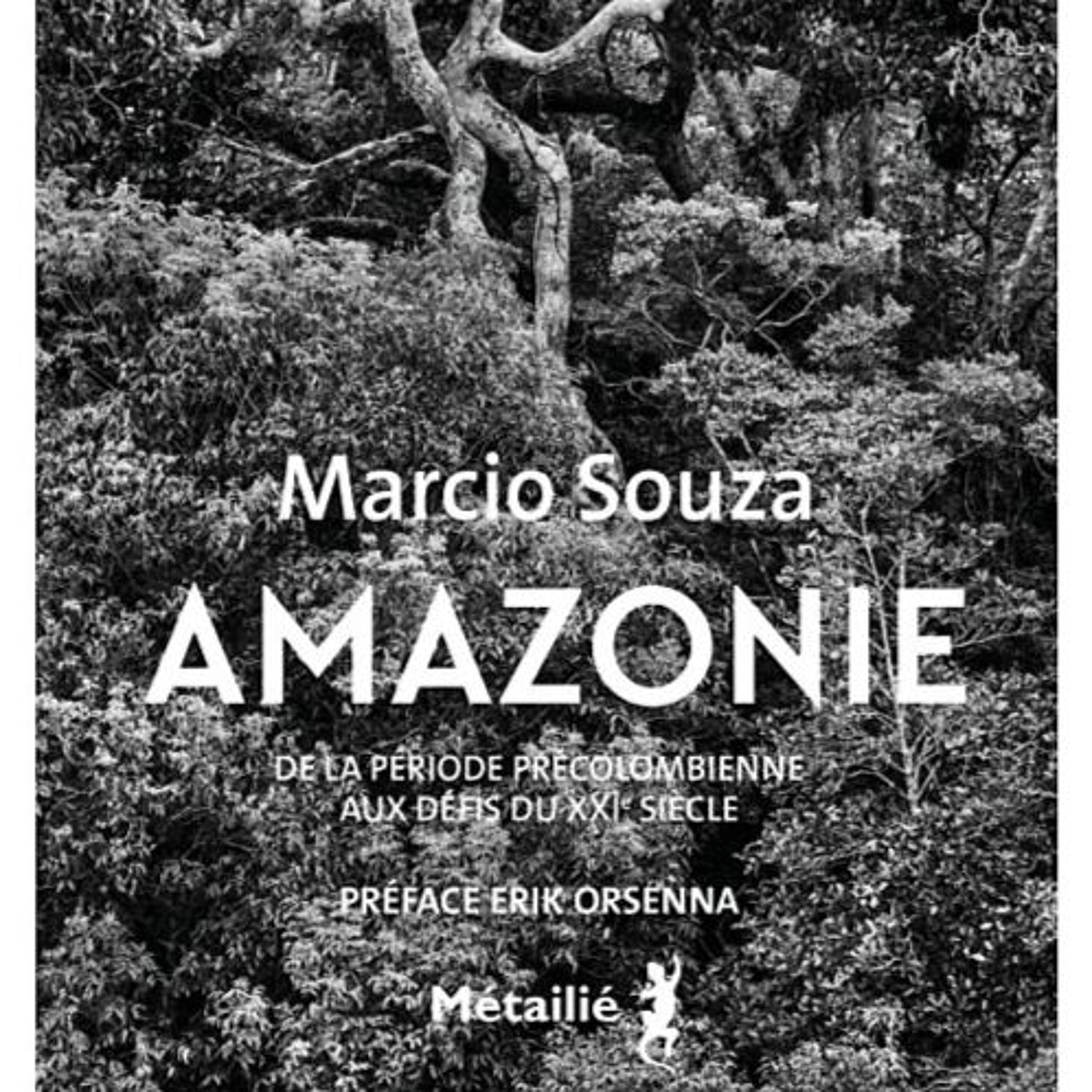 Amazonie - De la période précolombienne aux défis du XXIe siècle episode artwork