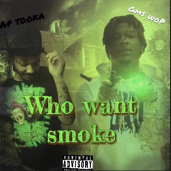 Gm$ Wop & Ap Tooka - who want smoke