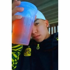 Mc Saci E Mc Rick - putaria criminosa ( DJ BERNARDO) 2021