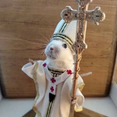 a city with only churches