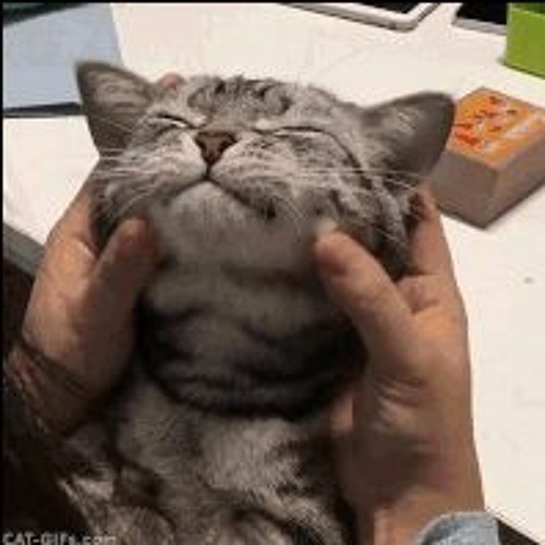 this is not right
