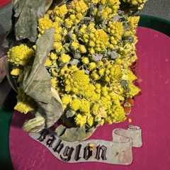 See The Light That Shines On You