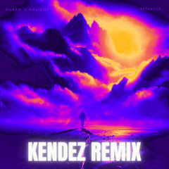 NURKO & HALIENE - Retraced (KENDEZ Remix)