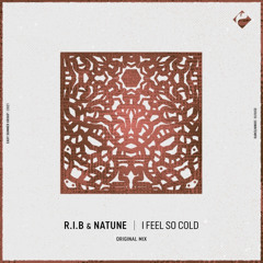 R.I.B & Natune - I Feel so Cold (Original Mix)