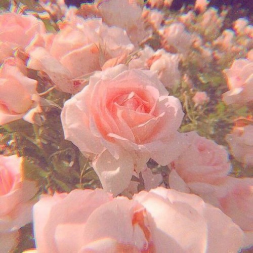 Stream 셀럽파이브 Celeb Five 안 본 눈 삽니다 I Wish I Could Unsee That Narr 설현 Seolhyun 가사 Lyrics Mp3 By Redssong Listen Online For Free On Soundcloud