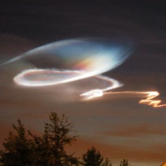 I  C o n f e s s  M y  L o v e  F o r  Y o u