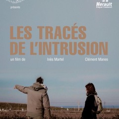 Des lapins dans les vignes