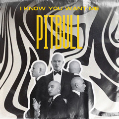 Pitbull - I Know You Want Me (Cinquino - Cortex_o & Peace) Remix - FILTERED FOR COPYRIGHT