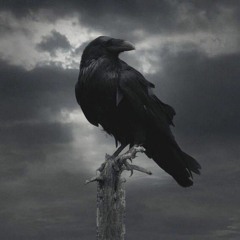 'RAVEN' | Dark | Nordic | Trap | Hip-hop Type Beat (prod. Kolczyk)