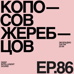 Peter Zherebtsov & Sergey Koposov - Deep Intelligent Sound 086 (19.10.22) 1 Hour