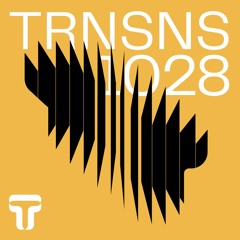 Nicolas Masseyeff mix for John Digweed's Transitions 1028