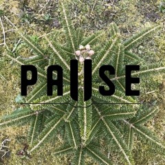 Pause - Fairytale