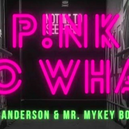 Stream Pink So What Chris Anderson & Mr. Mykey Bootleg (Remix) by DJ Mr