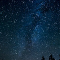 the sky of an august night