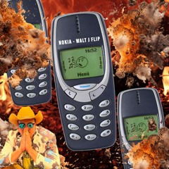 OLD NOKIA (WALT J FLIP)